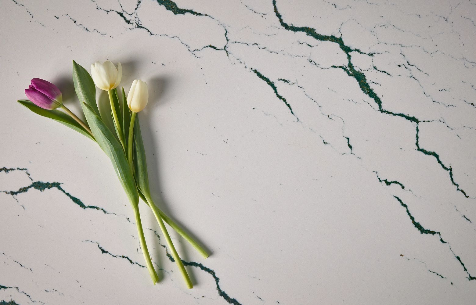 IVYBRIDGE Cambria Quartz detailed