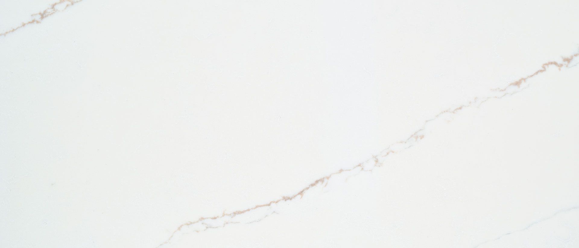 zoomed in calacatta arno slab