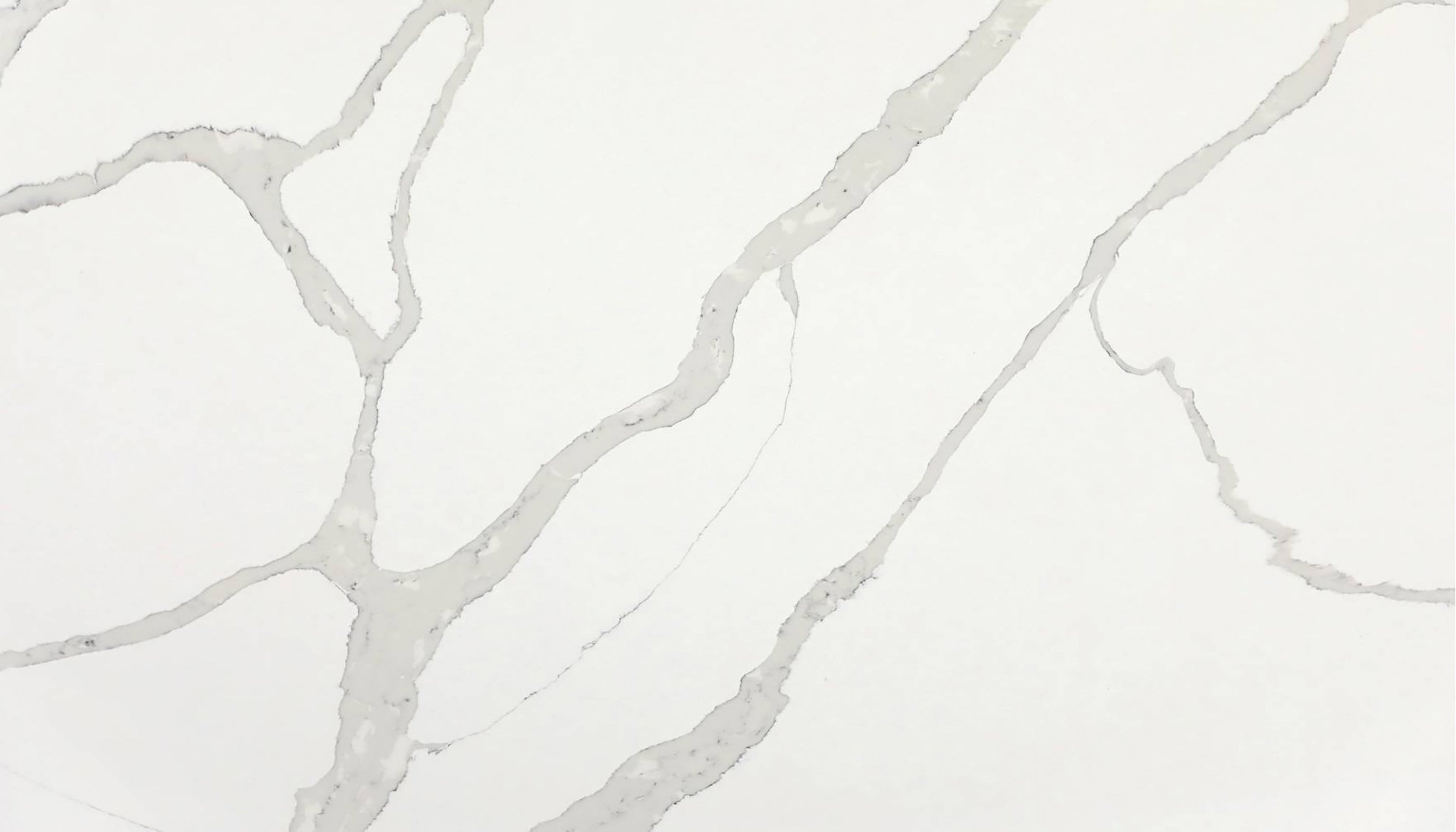 Calacatta Divine Cosmos Quartz