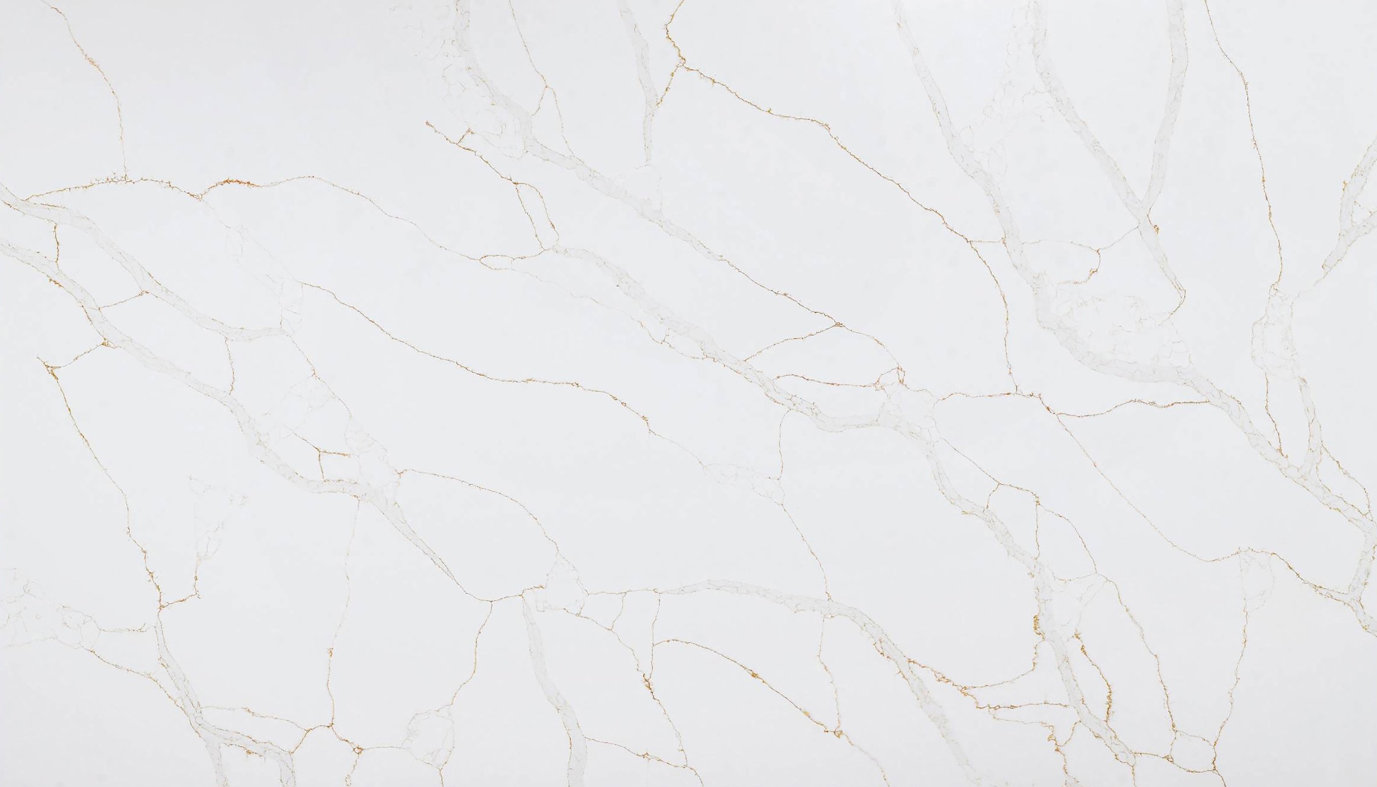 Calacatta Dorato Cosmos Quartz