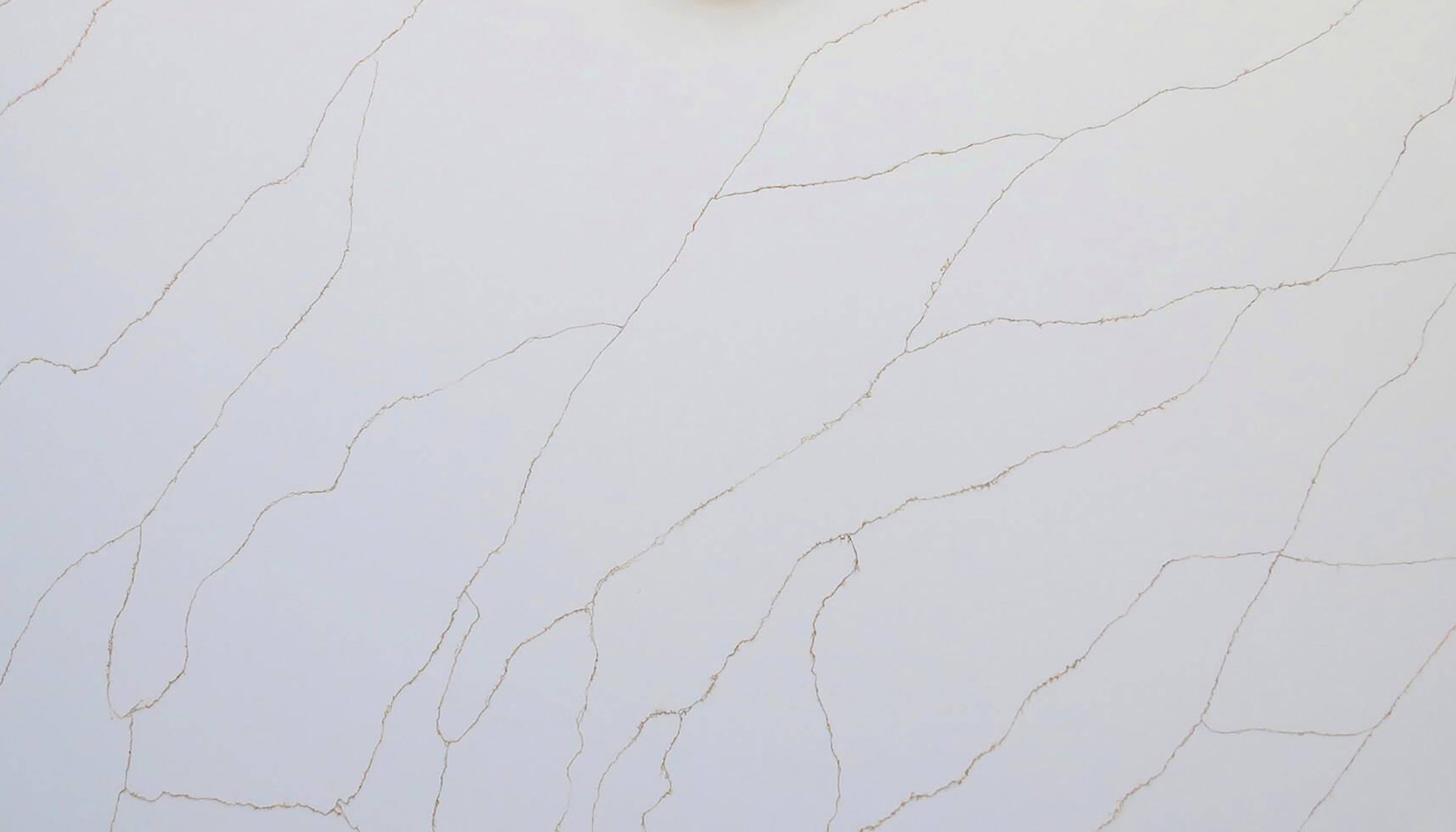 Calacatta Sienna Gold Cosmos Quartz