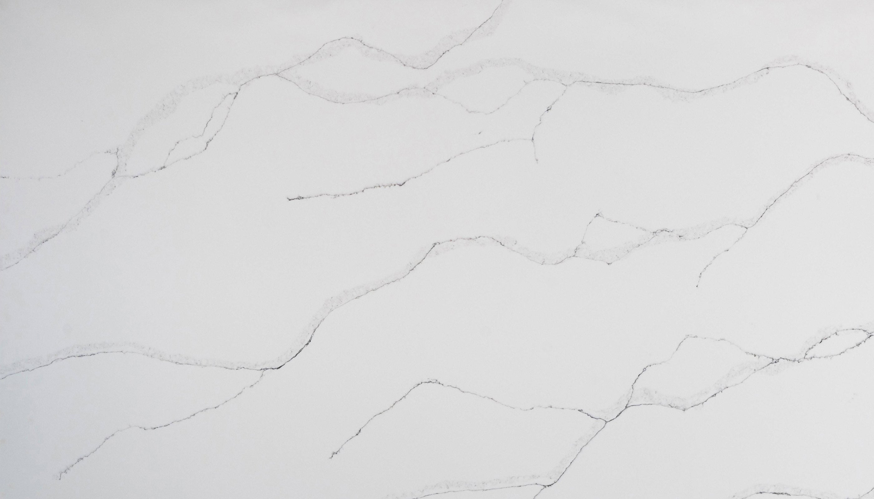 Calacatta Silver Cosmos Quartz