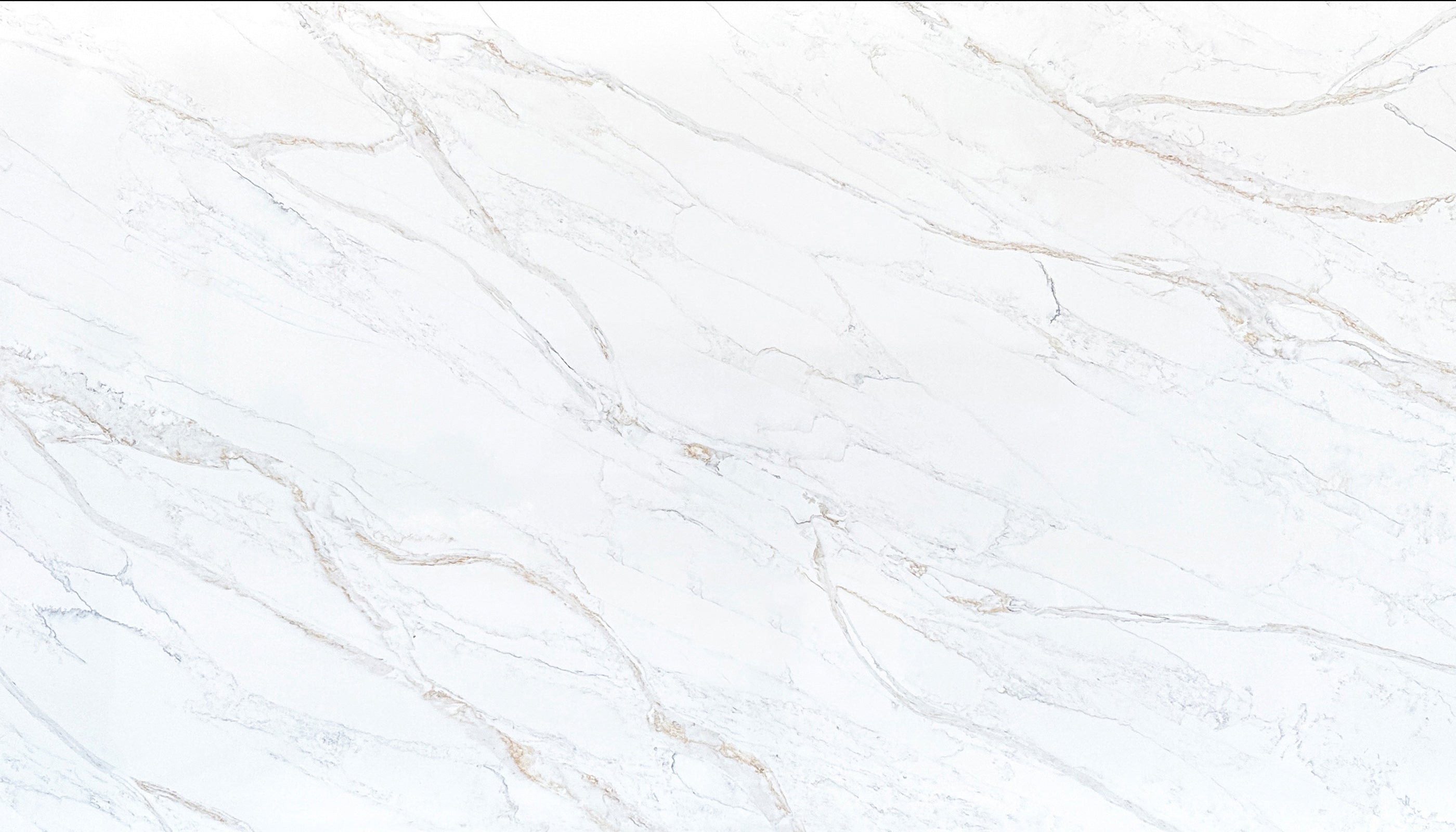 Calacatta Silverlight Cosmos Quartz