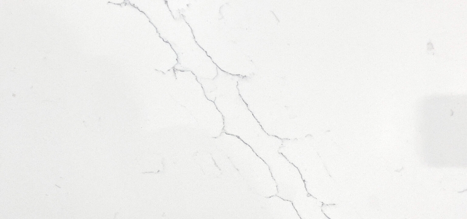 Giotto Gray Variant Quartz