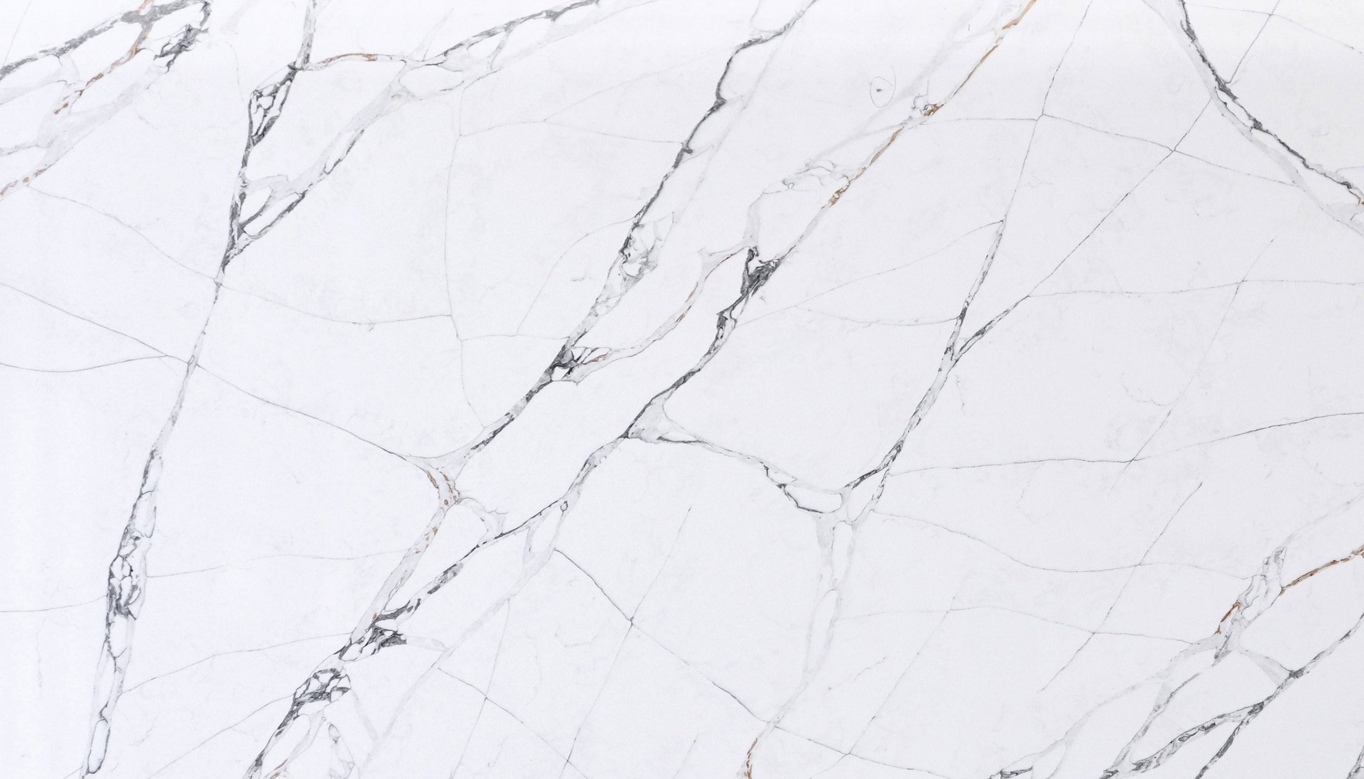 Statuario Pietro Cosmos Quartz
