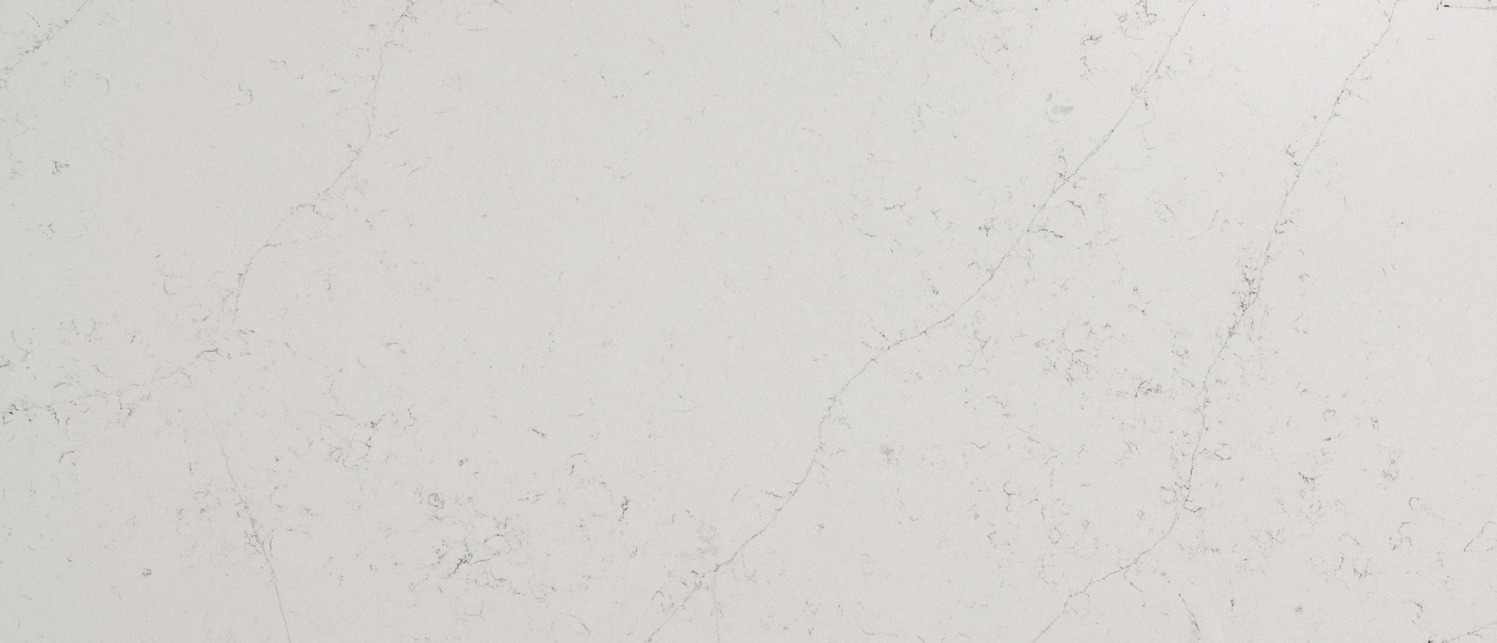 CALACATTA BOTANICA Q- QUARTZ FROM MSI™