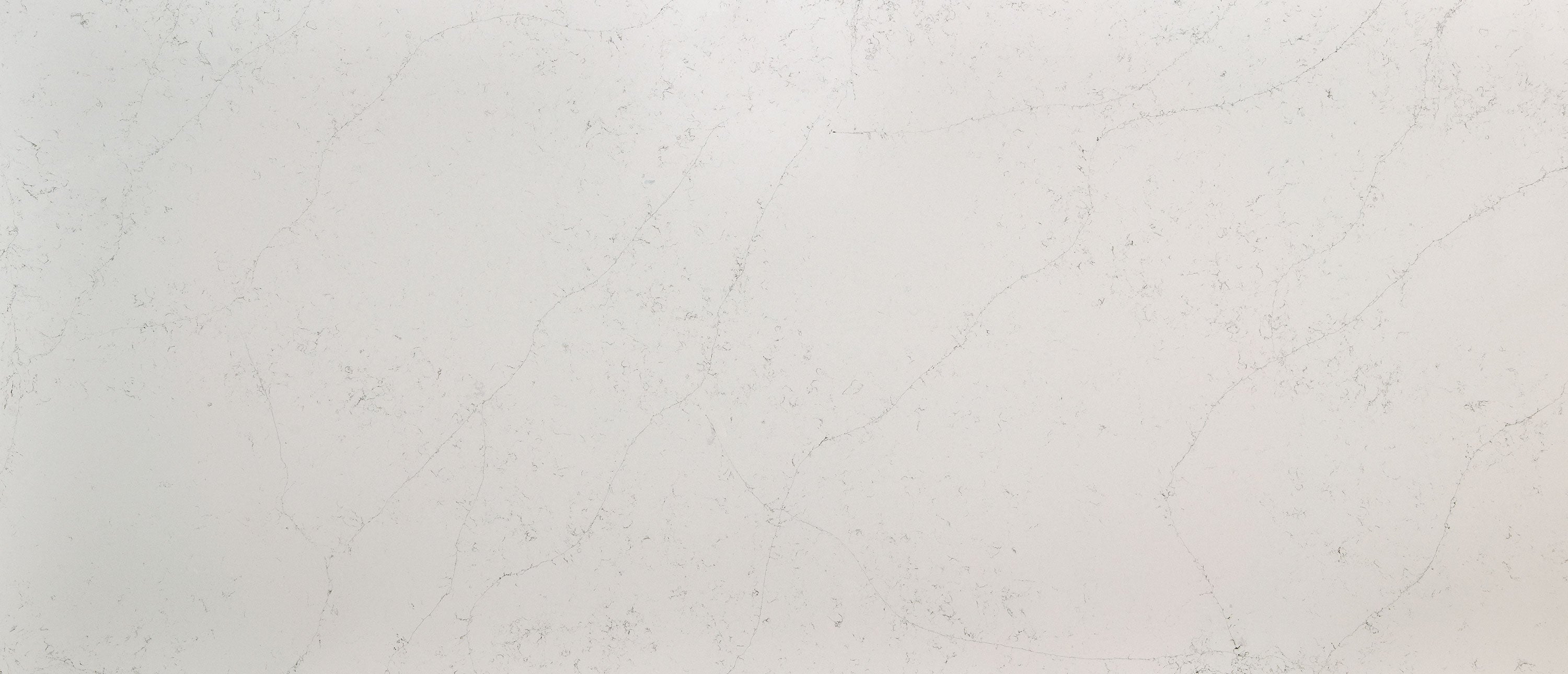 CALACATTA BOTANICA Q- QUARTZ FROM MSI™