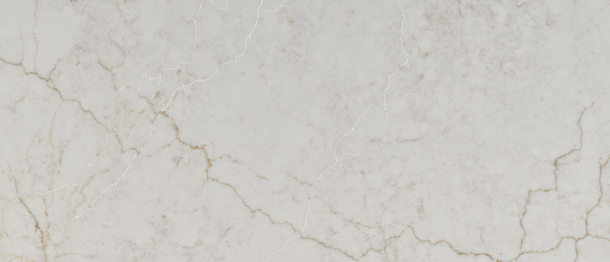 zoomed in calacatta miraggio cove from msi