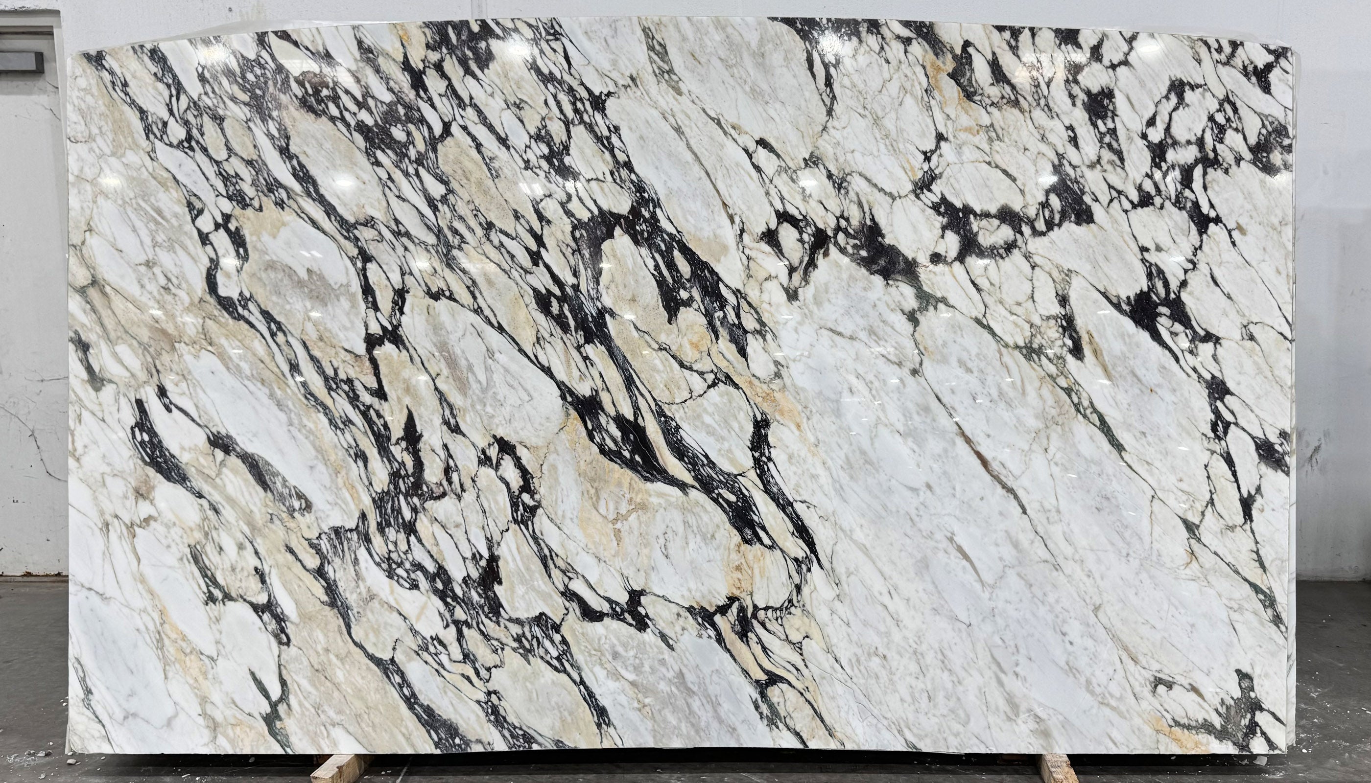Calacatta Viola Marble Slab Video I Granite Republic