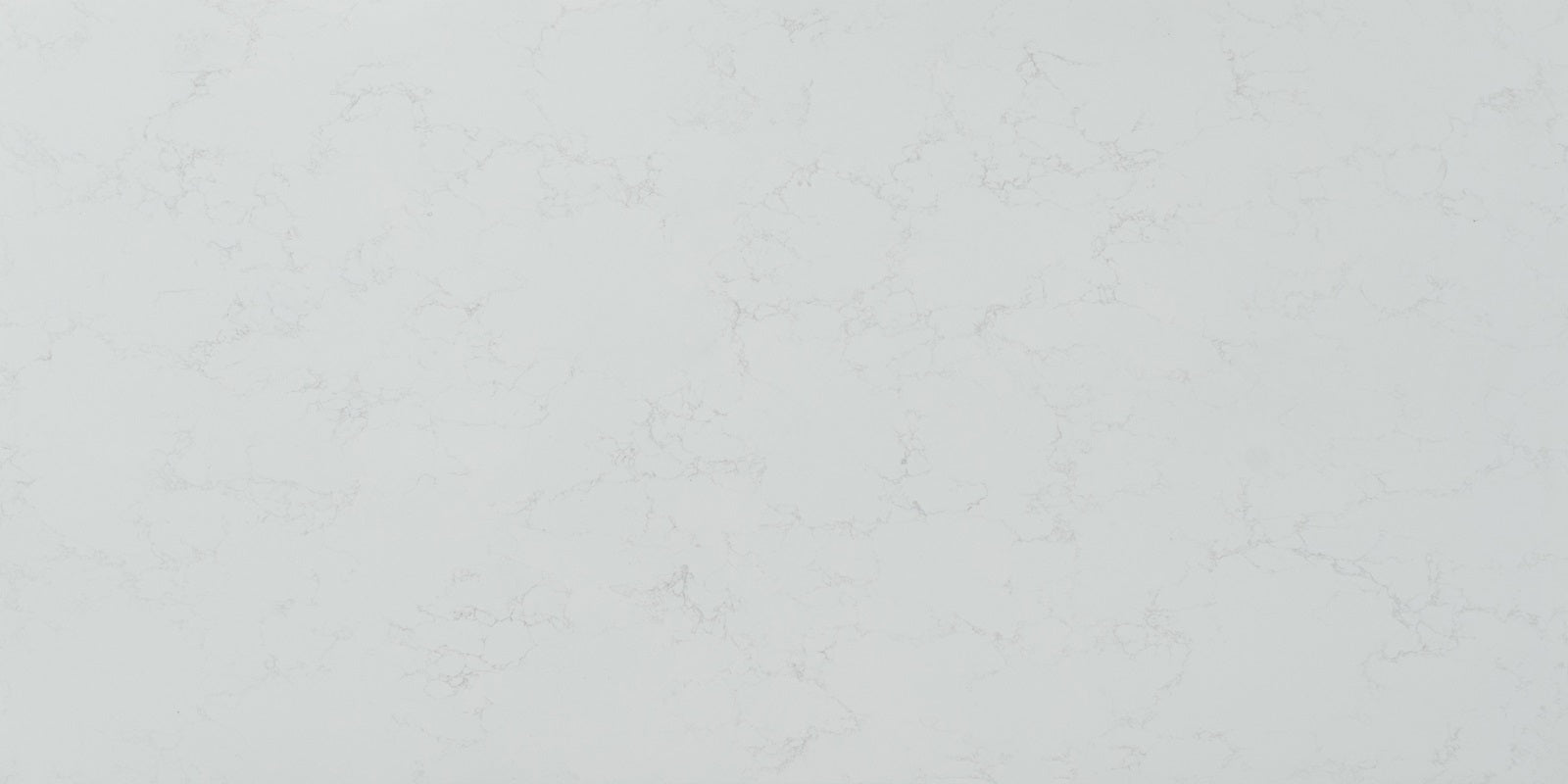 Elbert BQ8401 Vicostone Quartz | Natural Collection