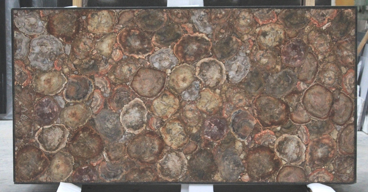 PETRIFIED WOOD