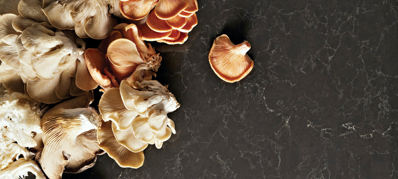 mushrooms on piatra grey counters caesarstone